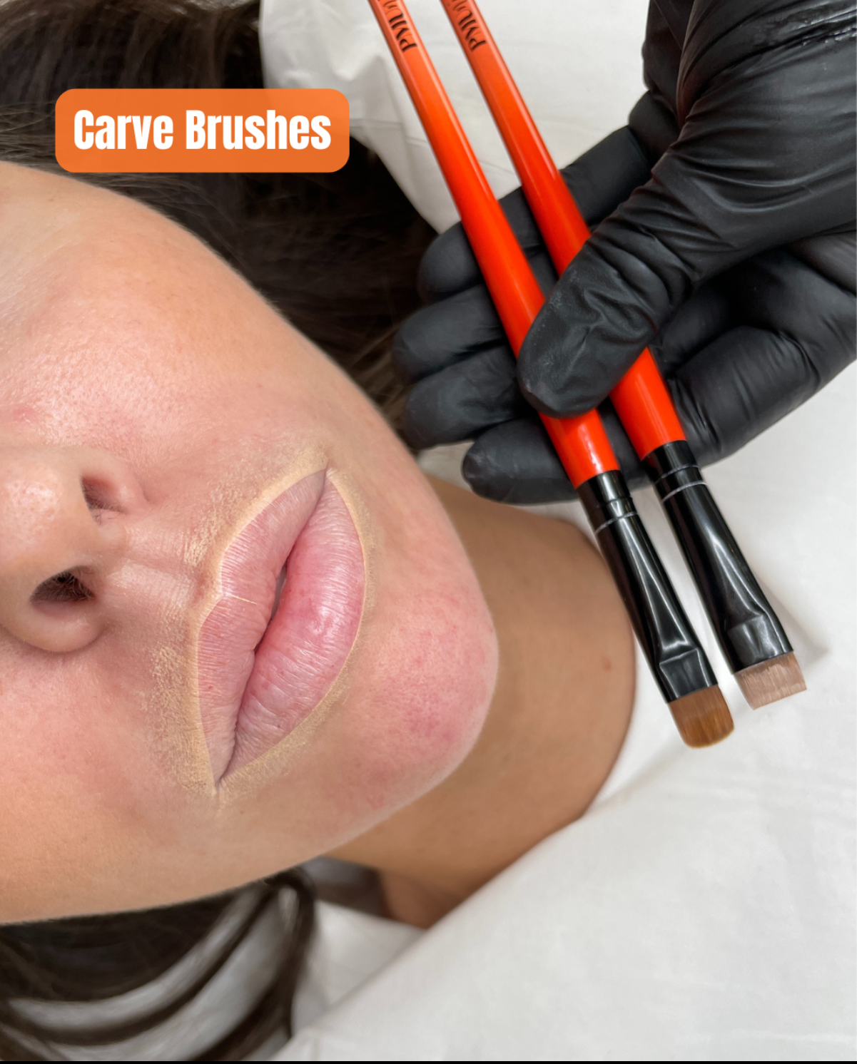 PMUni Carve set Mapping brushes